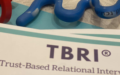 Introduction To Trust Based Relational Intervention (TBRI) Learning Sessions