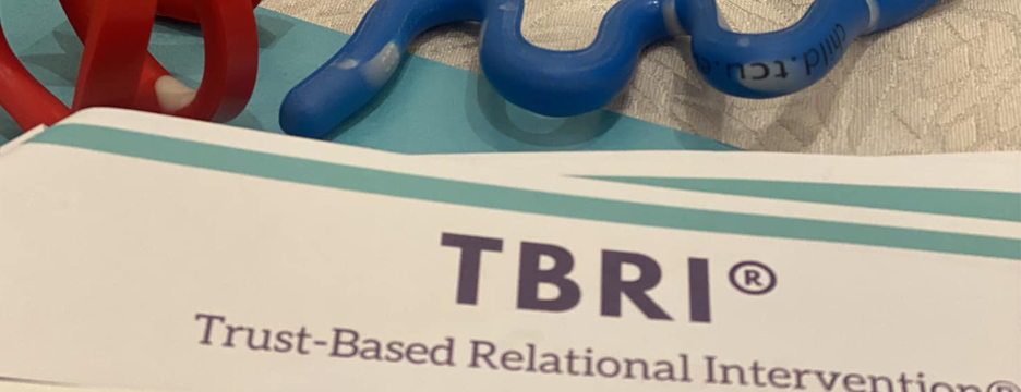 Introduction To Trust Based Relational Intervention (TBRI) Learning Sessions